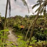 Фотография гостиницы Bali Spirit Hotel and Spa, Ubud