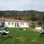 Фотография базы отдыха Villa Alzira
