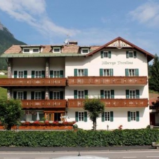 Фотография гостиницы Albergo Trentino