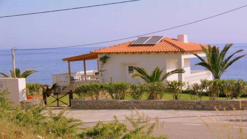 Фотография гостевого дома Bungalow Musuri