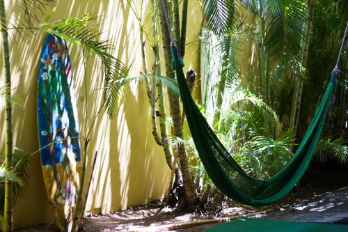 Фотография хостела Polynesian Hostel Beach Club