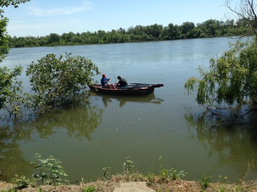 Фотографии кемпинга
Тенистая