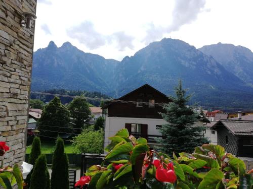 Фотография гостевого дома Casa Zura