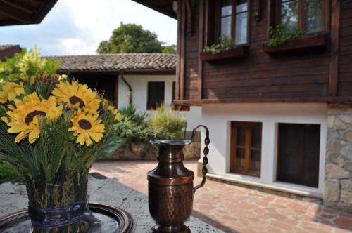 Фотография гостиницы Hotel Izvora