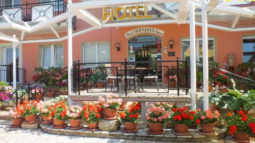 Фотография гостиницы Hotel Hofmann Zur Mühle