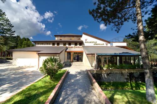 Фотография гостиницы Копала Цхнети