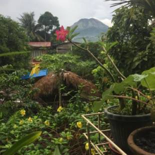 Фотография гостевого дома Ellens Homestay