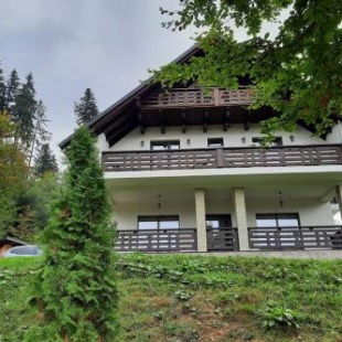 Фотография гостевого дома Casa Mălina Putna