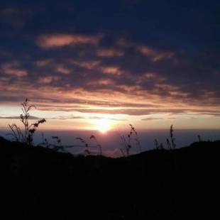 Фотографии гостевого дома 
            Zelobi Venture