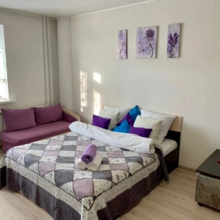 Фотография квартиры Апартаменты в центе Тюмени, Гелерея Вояж, Гор Сад