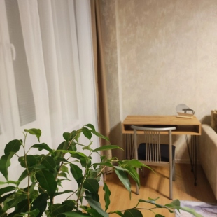 Фотография квартиры Апартаменты напротив Президентской академии РАНХиГС