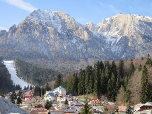 Фотография гостевого дома Pensiunea Casa Maria