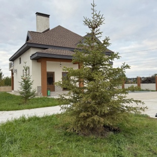 Фотография Коттеджа Частный дом Evelipark