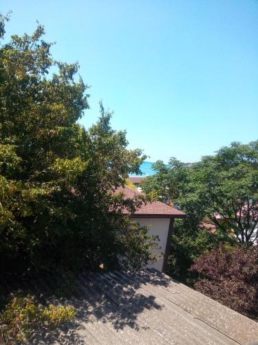 Фотография гостевого дома У Иваныча