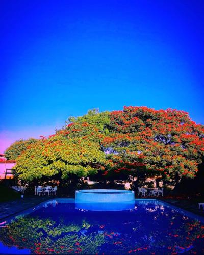 Фотография гостиницы Los Cruxes