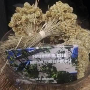 Фотографии гостевого дома
Parfumu Di Celu