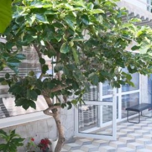 Фотография гостевого дома Любовь на Ключевой, 34