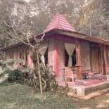 Фотография гостевого дома Saridevi Ecolodge