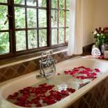 Фотография гостиницы Rivertrees Country Inn