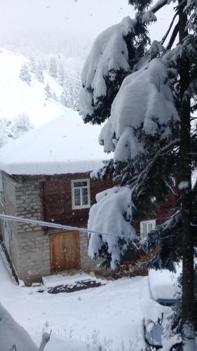 Фотографии гостевого дома
Farvana