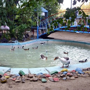 Фотография достопримечательности Областной биологический центр - Зоопарк