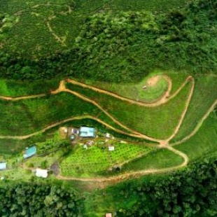 Фотография гостиницы Camelot Resort