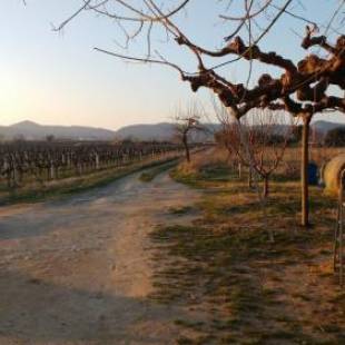Фотографии гостевого дома 
            Gîte à la ferme