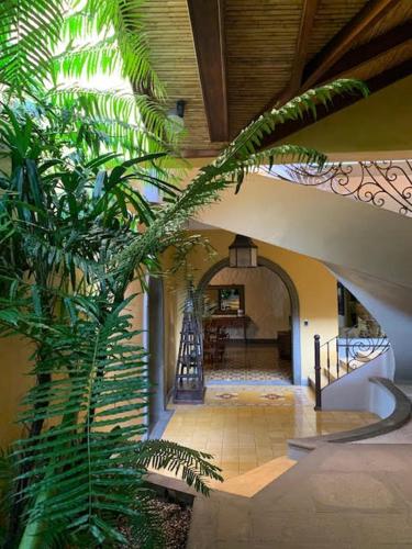 Фотография гостиницы Hotel 1915 INN & SUITES