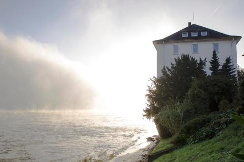 Фотография гостиницы Hotel am Rhein