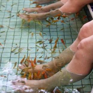 Фотографии гостиницы
Jenq Yang Hotspring Hotel