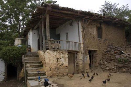 Фотография гостиницы Buta