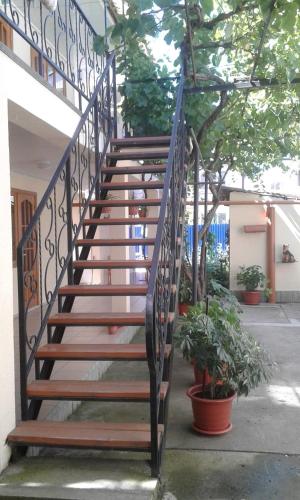 Фотография гостевого дома Виктория на Садовой, 51