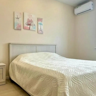 Фотография квартиры Квартира на Вишневского