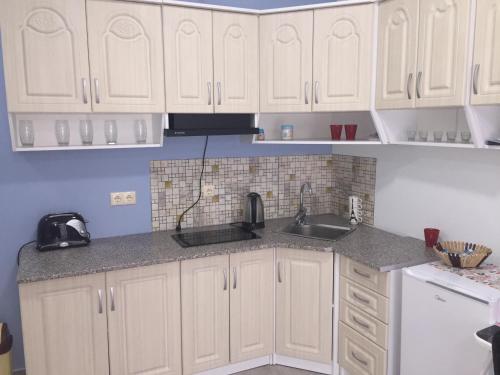 Фотография апарт отеля Apart Hotel Metro Plus Batumi