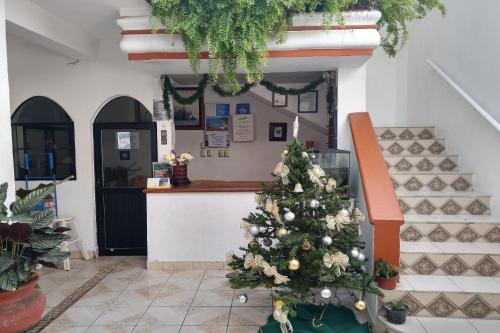 Фотография гостиницы Oyo Hotel Arena Surf