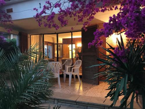 Фотография гостевого дома Casa Franch