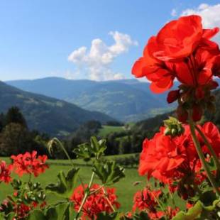 Фотографии базы отдыха
Gasleidhof