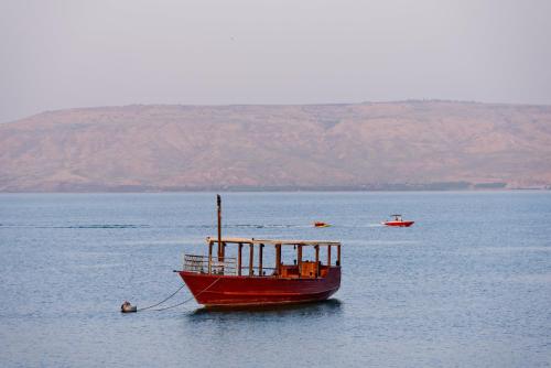 Фотография гостиницы Kinneret Lodging