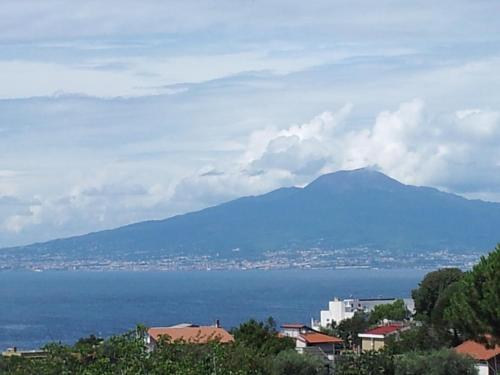 Фотографии мини отеля
Soggiornisorrento