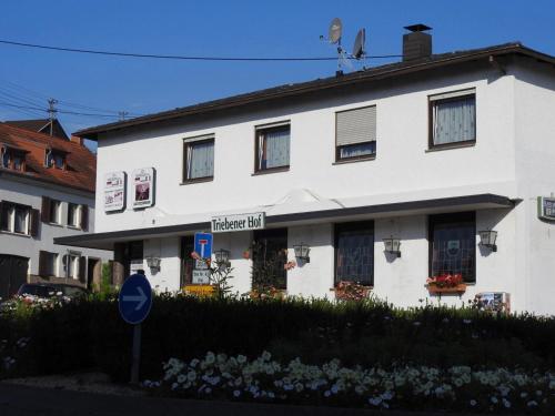 Фотография гостиницы Triebenerhof