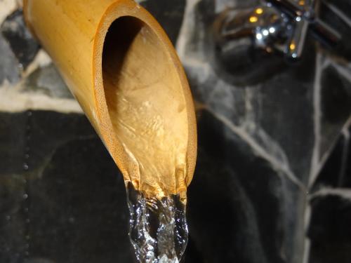 Фотография мини отеля Zamunda Garden View Apartments