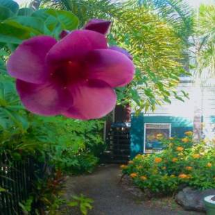 Фотографии хостела
Travellers Paradise