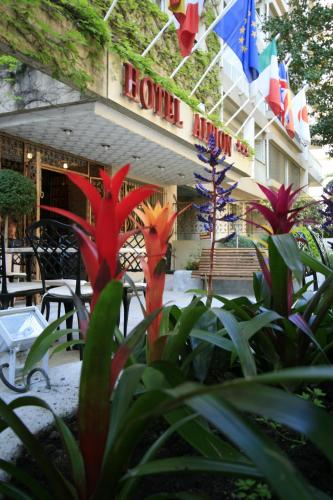 Фотография гостиницы Adonis Ajaccio - Hôtel Albion