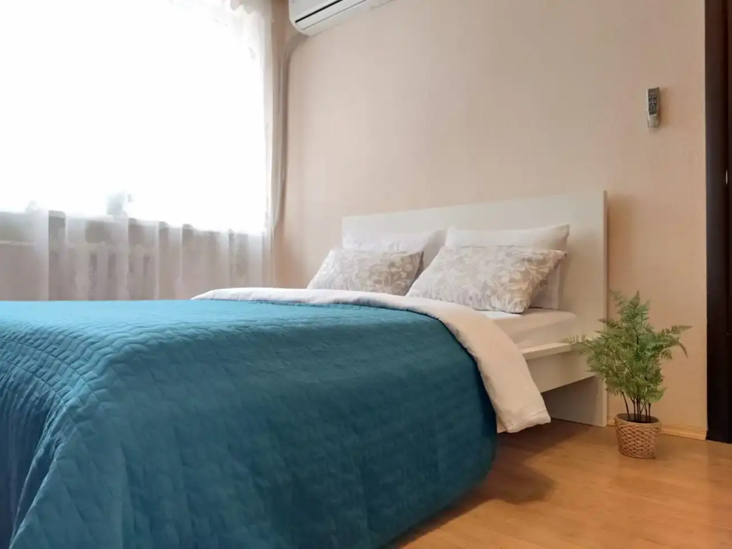 Фотография квартиры Апартаменты Уютная квартира в центре