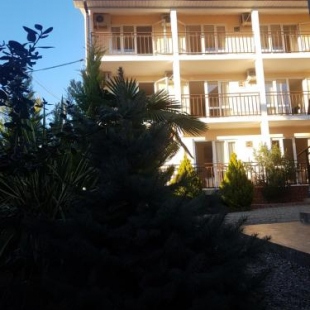 Фотография гостевого дома Vardane Resort