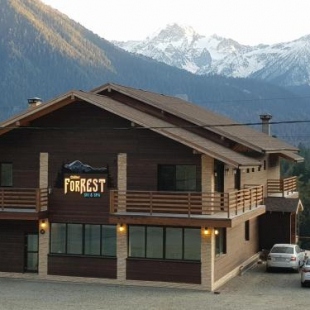 Фотография гостевого дома Chalet FoRRest