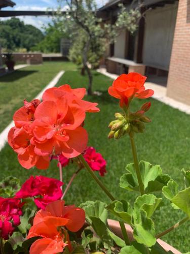 Фотографии мини отеля
La collina su Ascoli