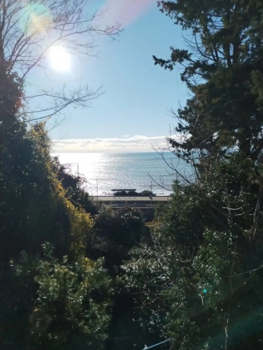 Фотографии гостевого дома 
            Anchor Villa