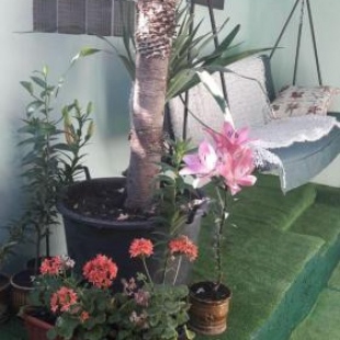 Фотография гостевого дома Оазис