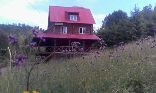 Фотография гостиницы Кавабанга